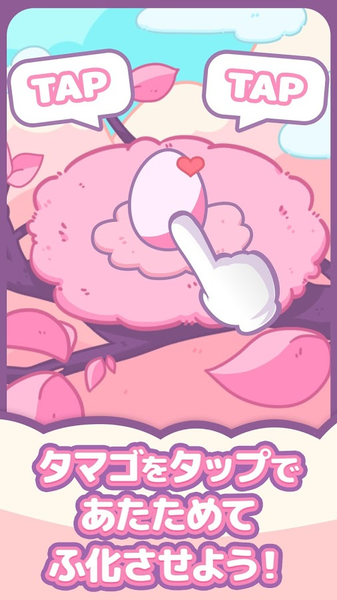 小鸟收集点一点养育小鸟汉化版