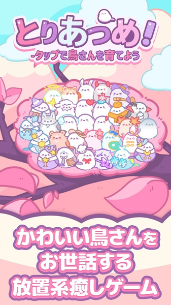 小鸟收集点一点养育小鸟汉化版