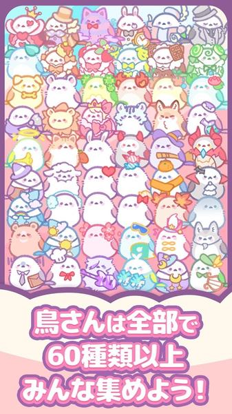 小鸟收集点一点养育小鸟汉化版