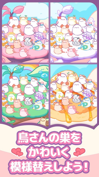 小鸟收集点一点养育小鸟汉化版