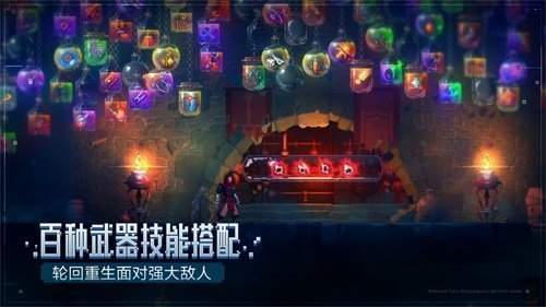 死亡细胞破解版