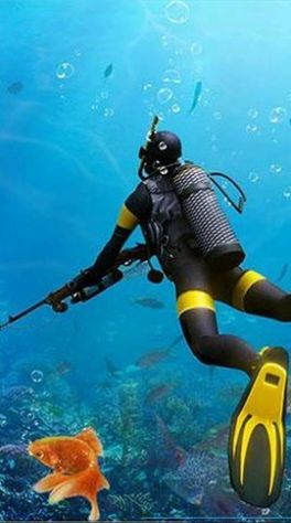 狩猎食人鲨 狩猎食人鲨