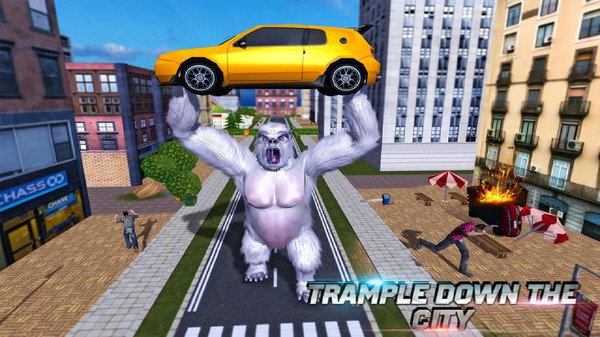 dxxcslx.jpg