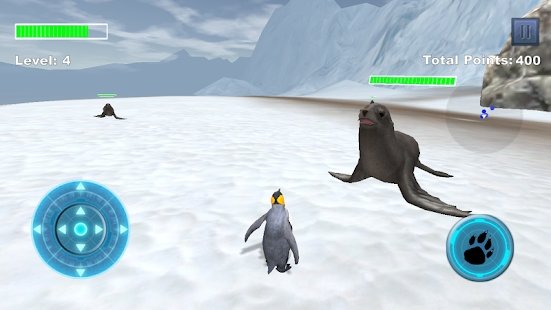 Arctic Penguin.jpg