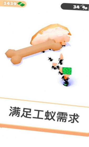 xmymnq.jpg