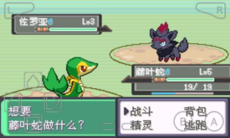 我的村庄我守护