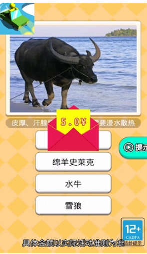 恐龙小车场