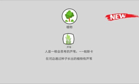 创世者