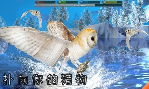 老鹰模拟器2中文版
