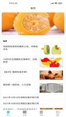 养猪富豪app.jpg