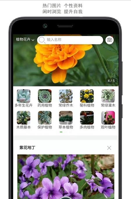 行色识花app.jpg
