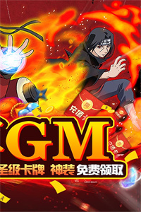 合金风暴2(一元无限特权)