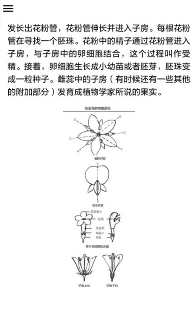 野外植物识别.jpg