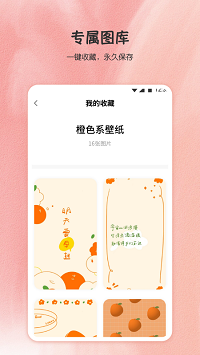 小王壁纸.png