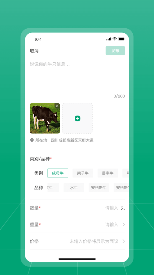 大肥牛APP