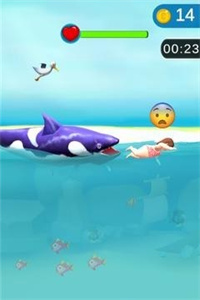 鲨鱼疯狂3D安卓