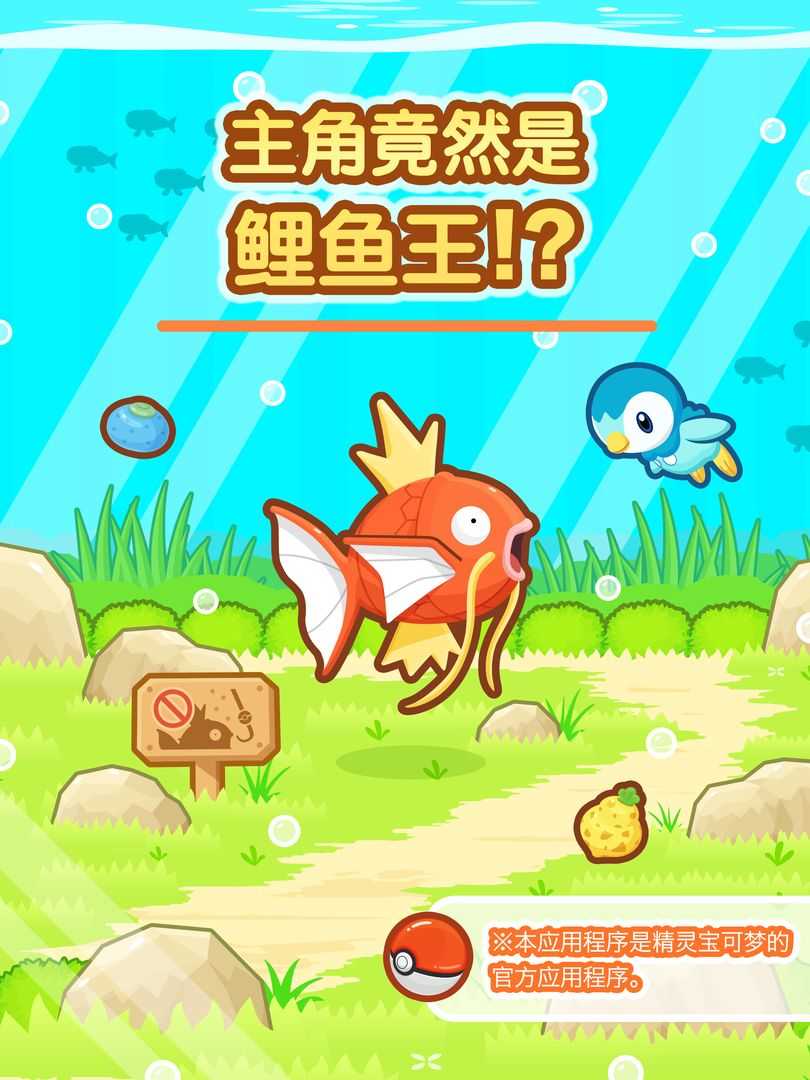 鲤鱼王