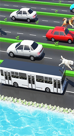 动物公路跳跃