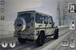 G65停车模拟器