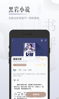 黑岩小说.png