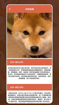 动植物识别大全.png
