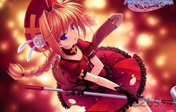 魔法少女武斗祭