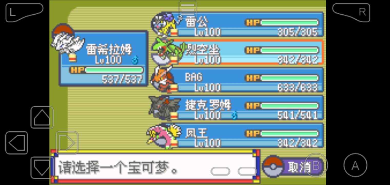 口袋妖怪神奇领域.jpg