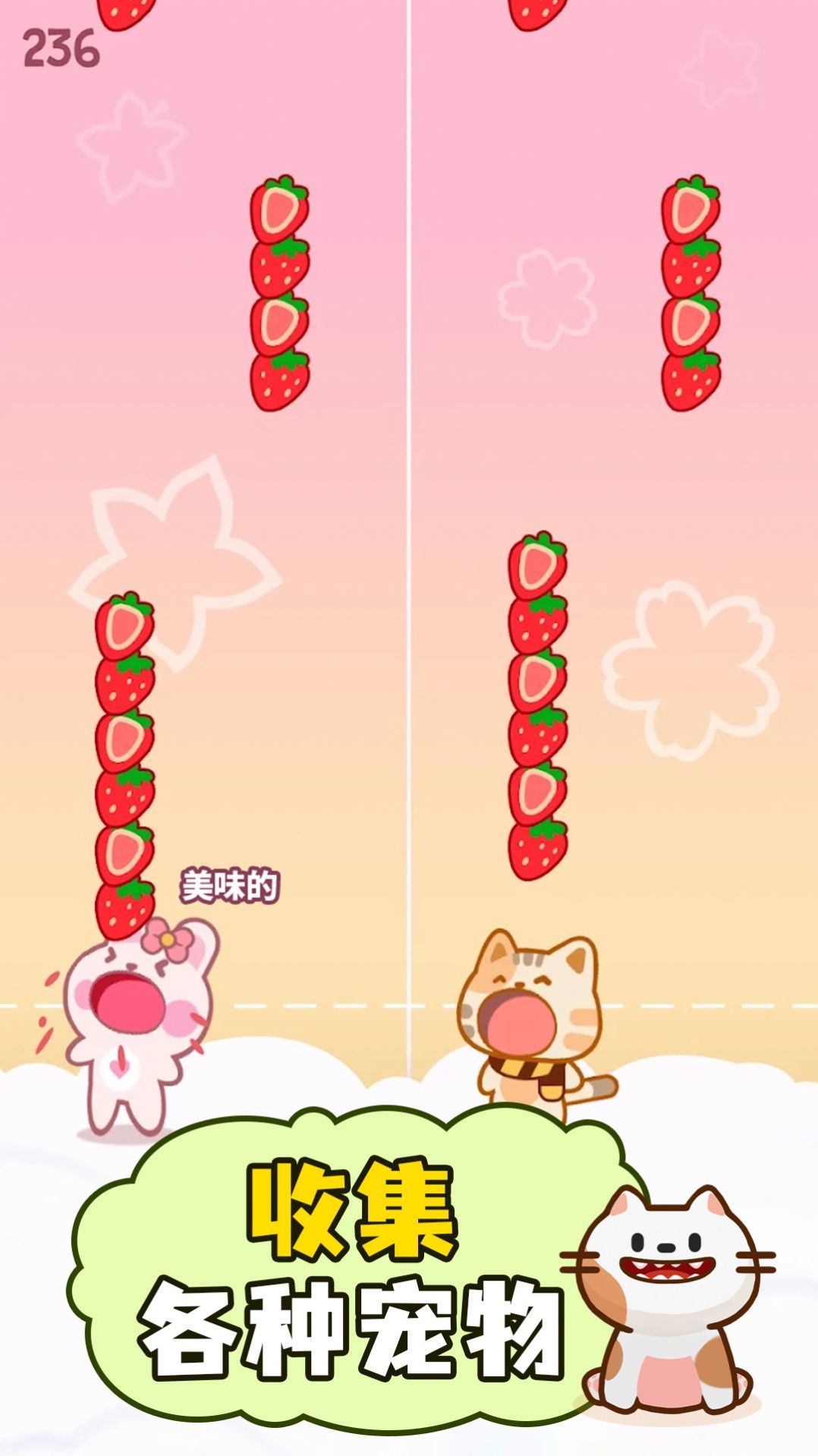 萌猫二重奏.jpg