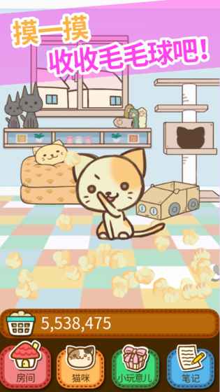 猫咪的毛.jpg