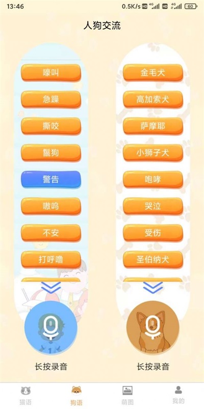 云宇猫狗翻译.jpg