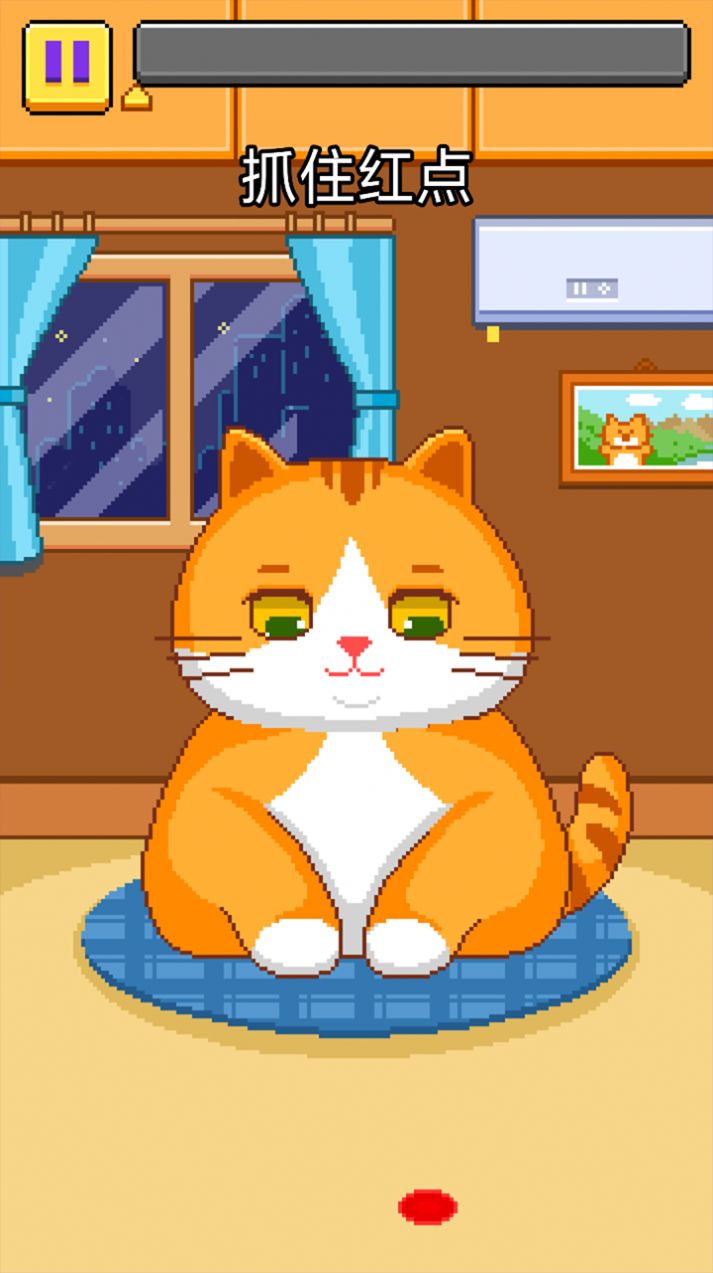 猫猫来了.jpg