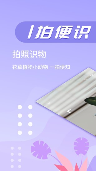 万图拍植物识别.jpg
