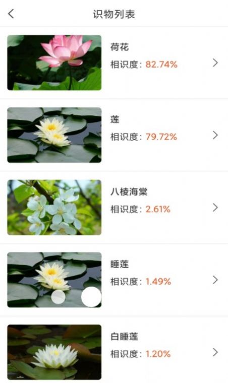 拍照识物全能王.jpg