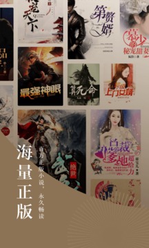 番茄小说旧版.jpg