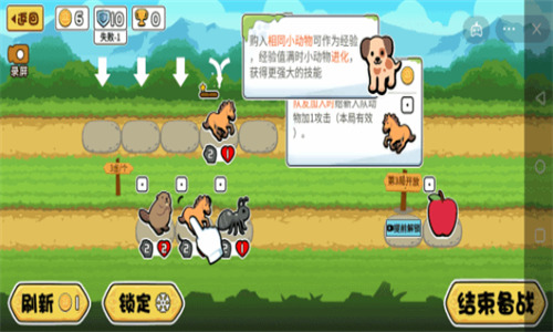 动物之战.jpg