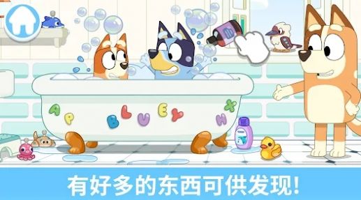 布鲁伊一起玩吧.jpg