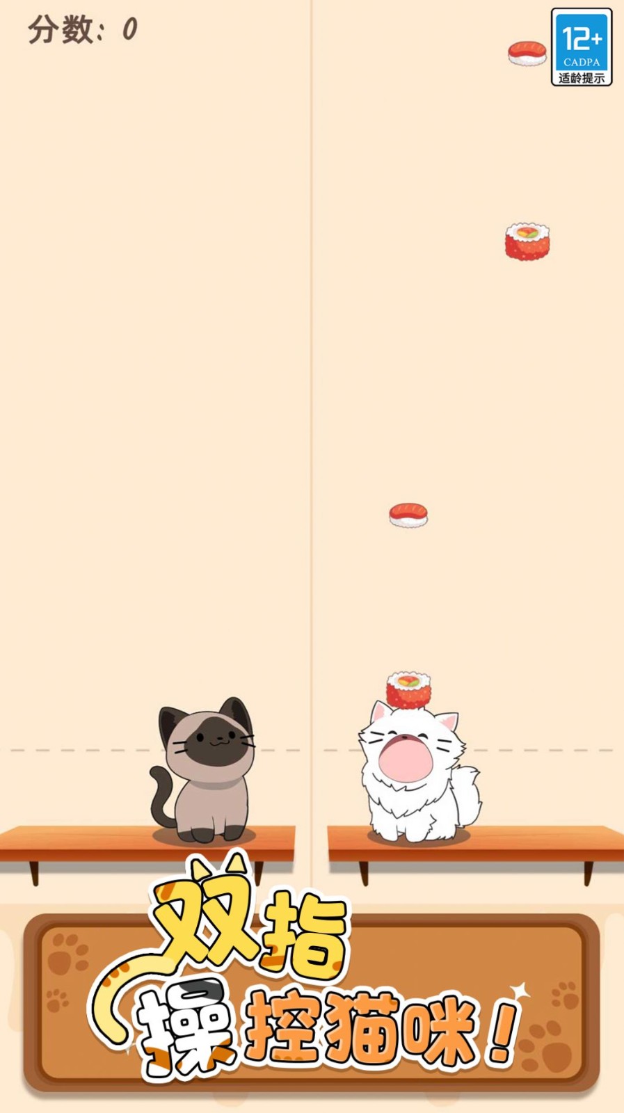 猫猫爱音乐.jpg