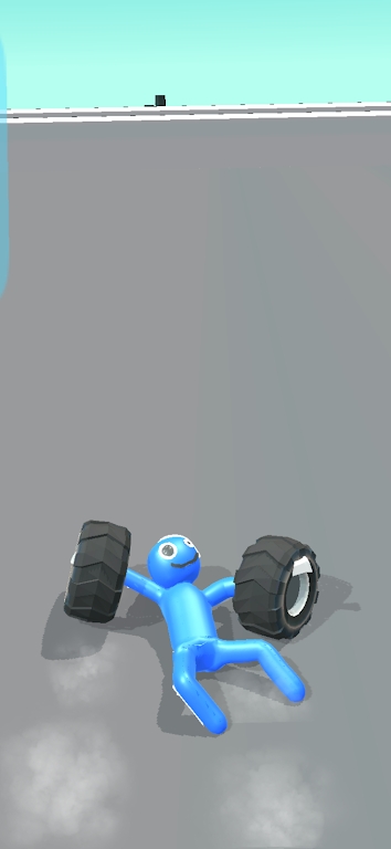 ragdollcaraction