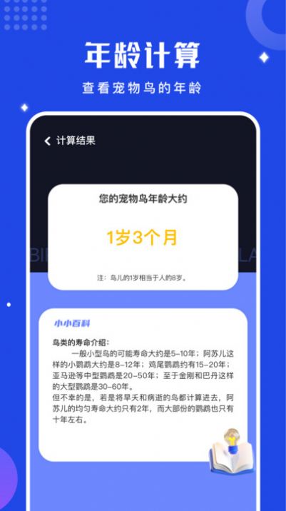 鸟语语言翻译器.jpg