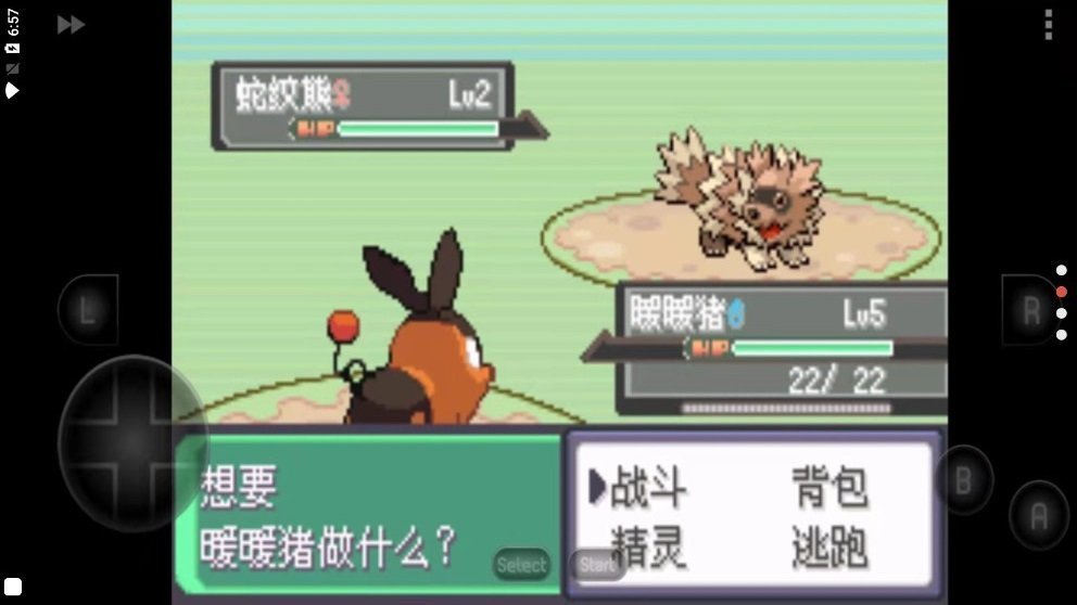 口袋妖怪心金