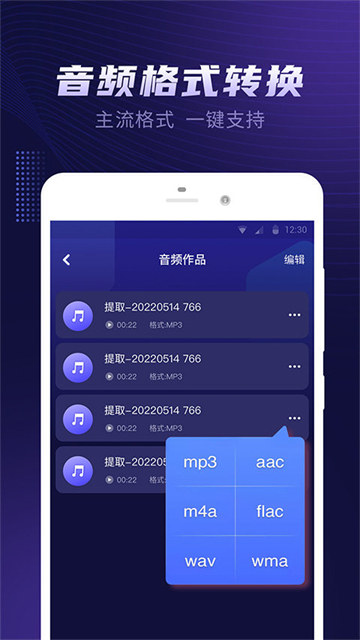 繁楼音频提取器.jpg