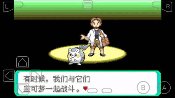 口袋妖怪究极绿宝石5.5金手指.png