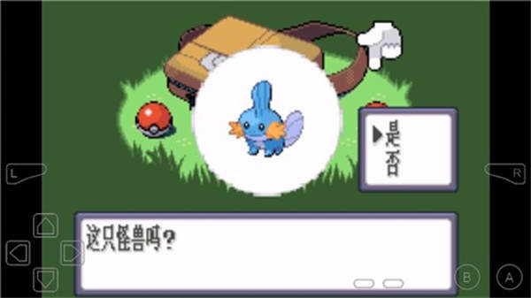 口袋妖怪红宝石复刻