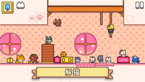 超级猫.jpg