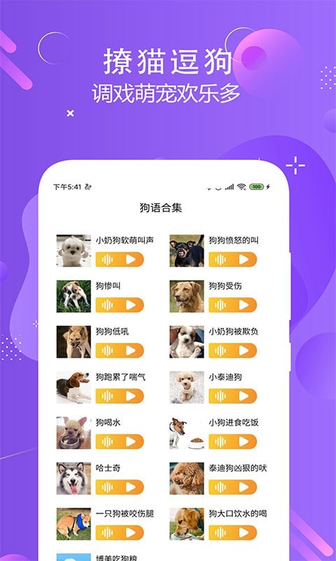猫狗多语言交流器.jpg