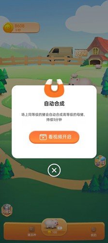 猪猪亿生.jpg