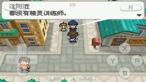 口袋妖怪白2.jpg