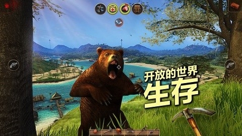 辐射岛完整版