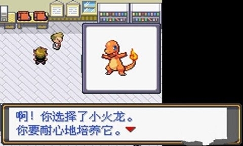 口袋妖怪火红版.jpg