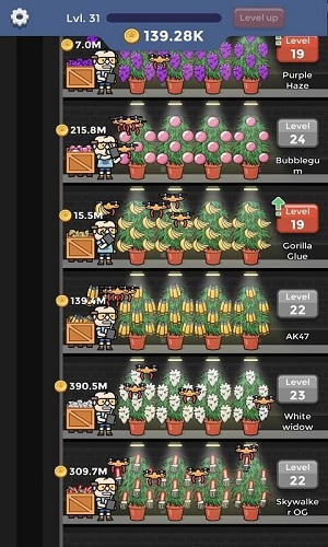 闲置杂草工厂.jpg